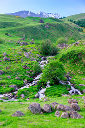 Similar image 21903870