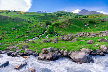 Similar image 21903871