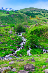 Similar image 21903873