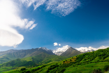 Similar image 21903875