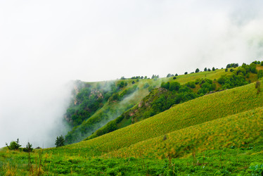 Similar image 21903426