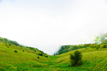 Similar image 21903427