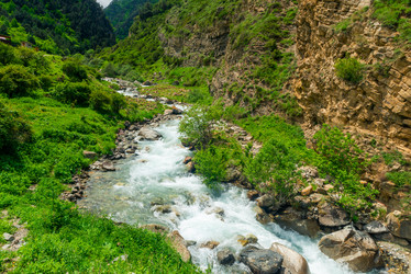 Similar image 21903440