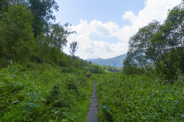 Similar image 21898525