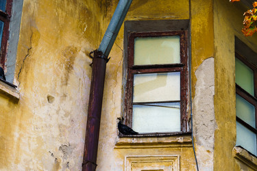 Similar image 21897603