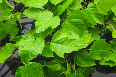 Similar image 21900349