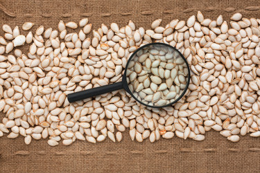 Similar image 21900359