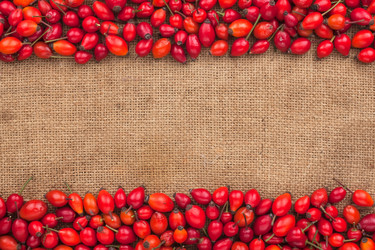 Similar image 21900362