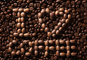 Similar image 21900368