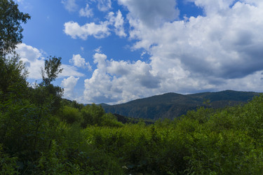 Similar image 21898459