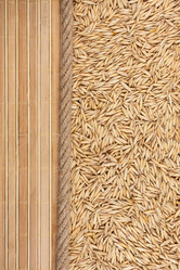 Similar image 21902498