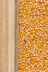 Similar image 21900380