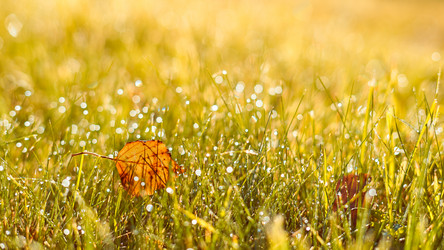 Similar image 21903027