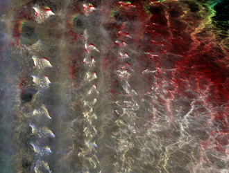 Similar image 21906384