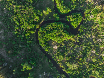 Similar image 21899013