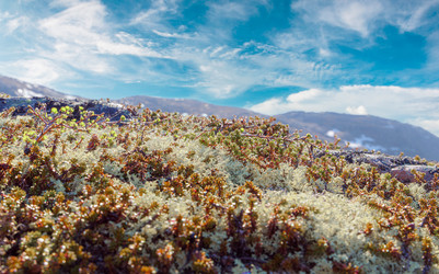 Similar image 21909886