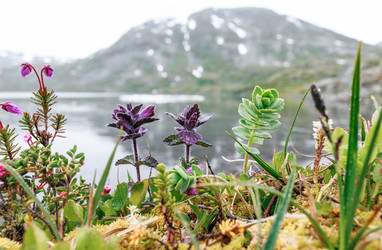 Similar image 21910099