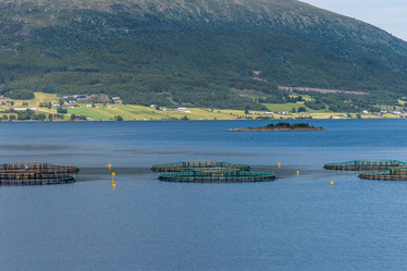 Similar image 21910520