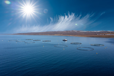 Similar image 21910528