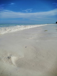 Similar image 21898842