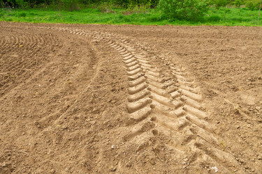 Similar image 21898843