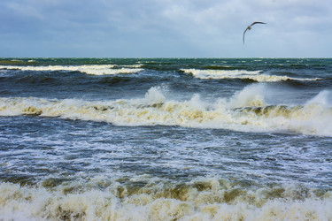 Similar image 21900069