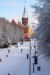 Similar image 21900070