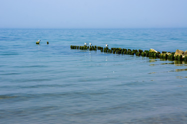 Similar image 21895323