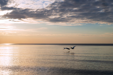 Similar image 21895324