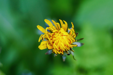 Similar image 21895325