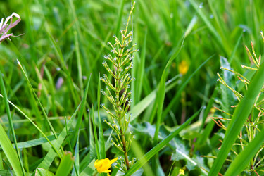 Similar image 21895329