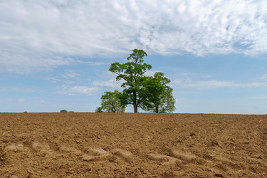 Similar image 21895330