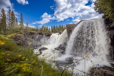 Similar image 21910534