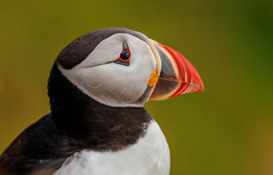 Similar image 21910727