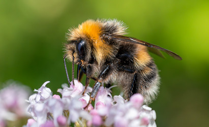 Similar image 21910729