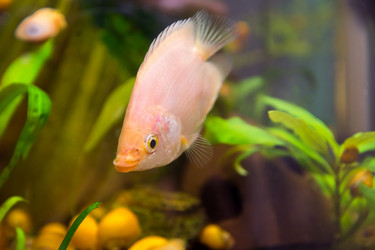 Similar image 21896047