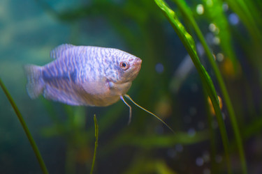 Similar image 21896049