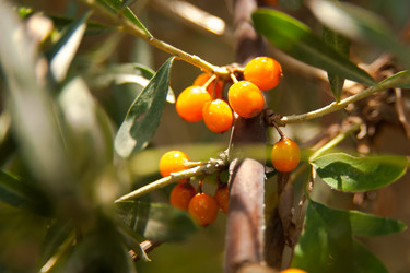 Similar image 21896058