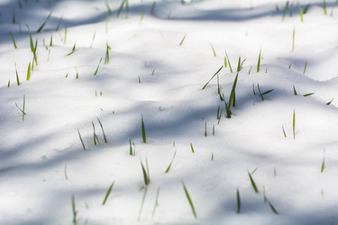 Similar image 21896071