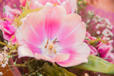 Similar image 21896074