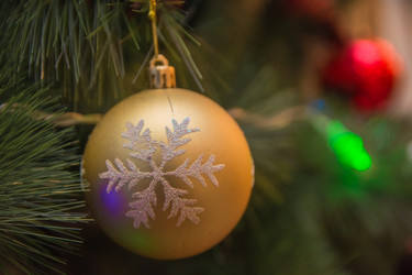 Similar image 21896075