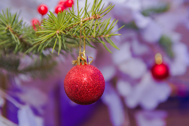 Similar image 21896088