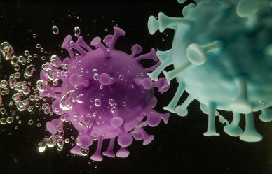 Similar image 21910550