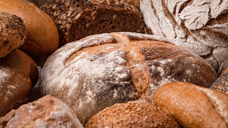 Similar image 21910752