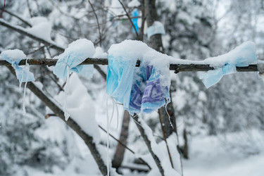 Similar image 21899219