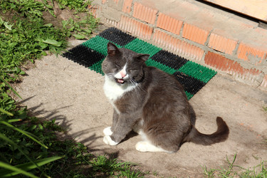 Similar image 21894896