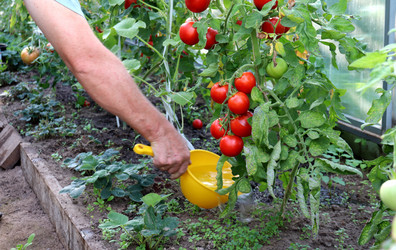 Similar image 21894898