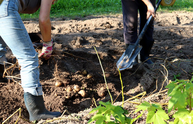 Similar image 21895034