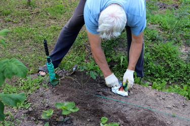 Similar image 21895035