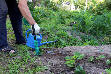 Similar image 21895036